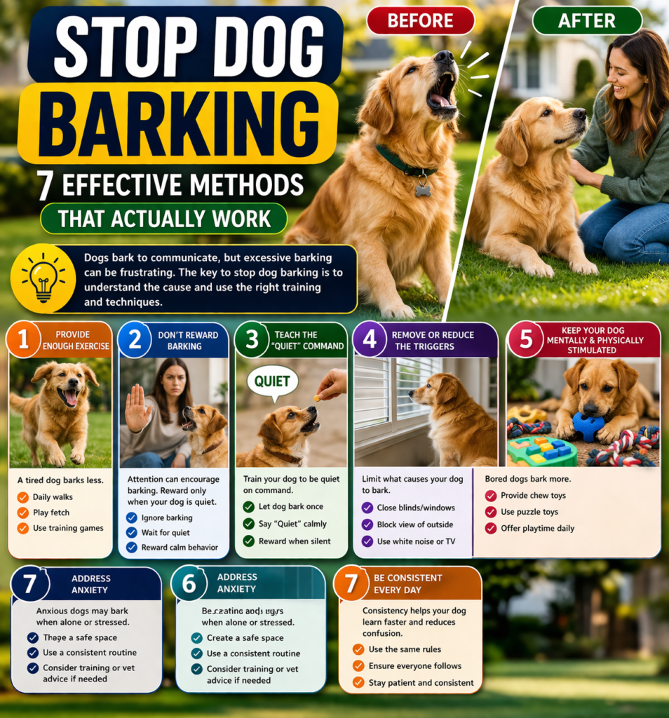 stop dog barking training tips