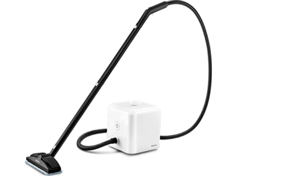 Dupray Neat Steam Cleaner recall 2026