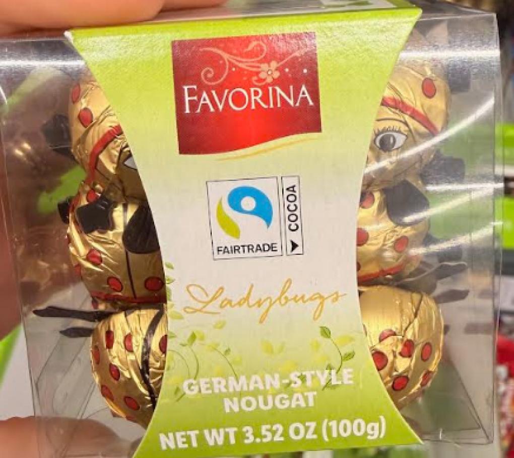 Favorina Chocolate Ladybugs Recall 2026 – undeclared hazelnuts allergy alert