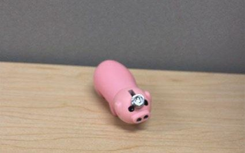 Somgem Pig and Yomin Toilet Lighter Recall 2026