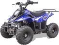 Youth ATV Recall 2026 Safety Alert